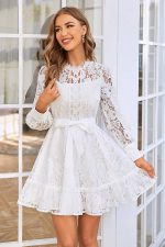 Elegant Lace Mini Dress