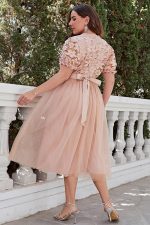 Plus Size Pink Ceremony Maxi Dress